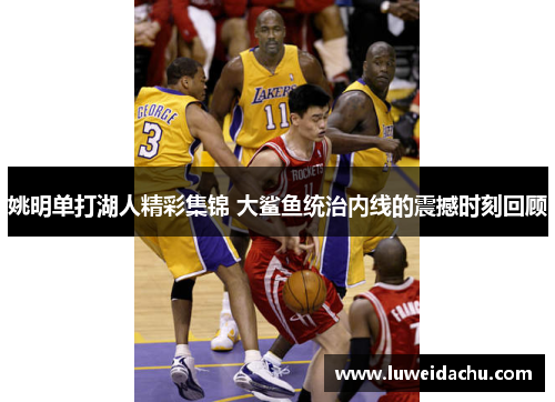 姚明单打湖人精彩集锦 大鲨鱼统治内线的震撼时刻回顾