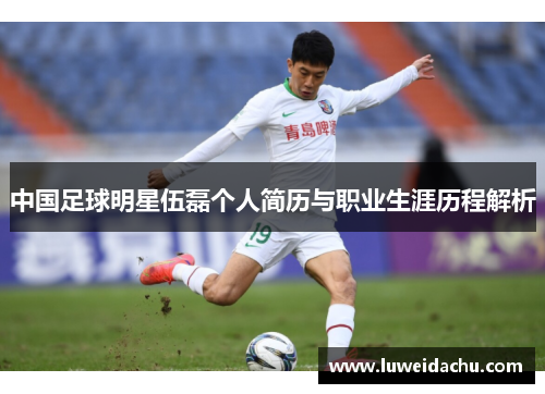 中国足球明星伍磊个人简历与职业生涯历程解析