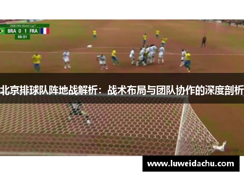 北京排球队阵地战解析：战术布局与团队协作的深度剖析