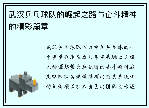 武汉乒乓球队的崛起之路与奋斗精神的精彩篇章