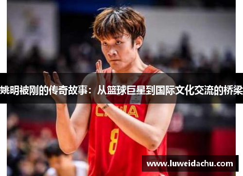 姚明被刚的传奇故事：从篮球巨星到国际文化交流的桥梁