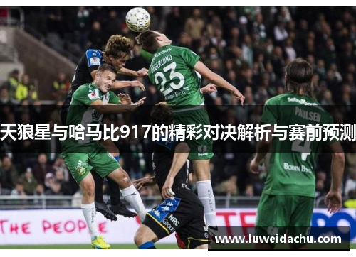 天狼星与哈马比917的精彩对决解析与赛前预测